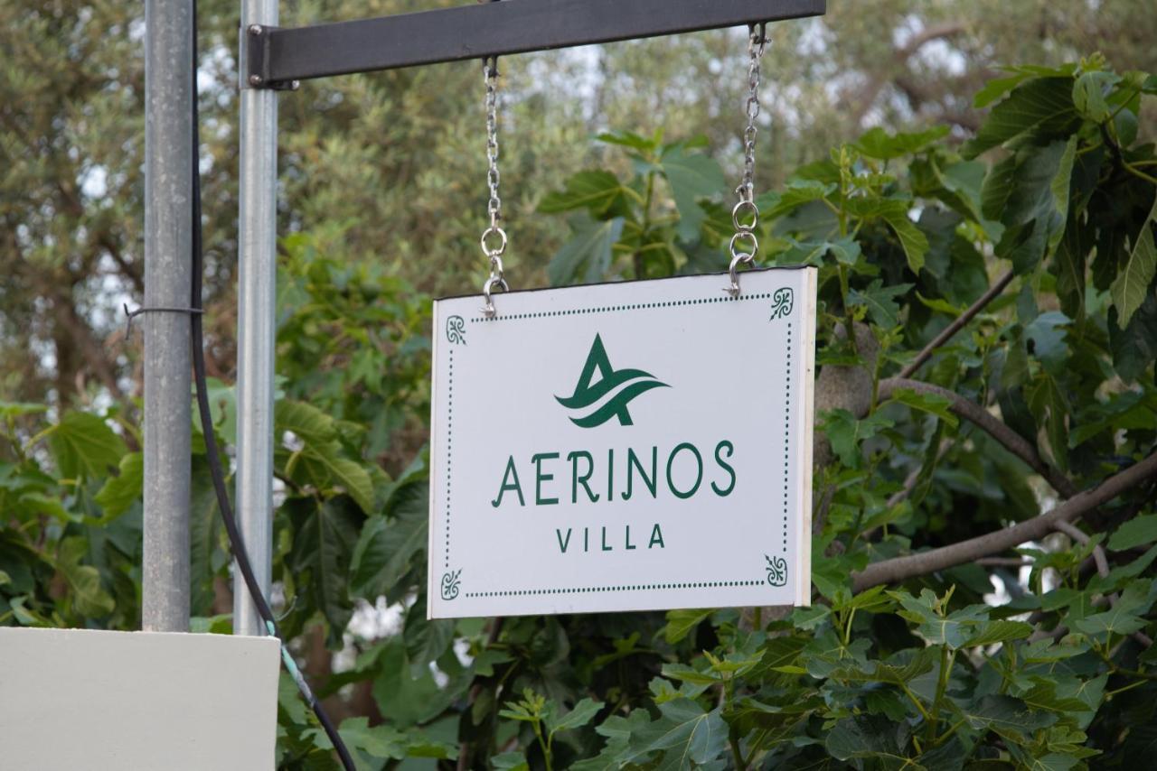 Aerinos private villa Lefkáda Exterior foto