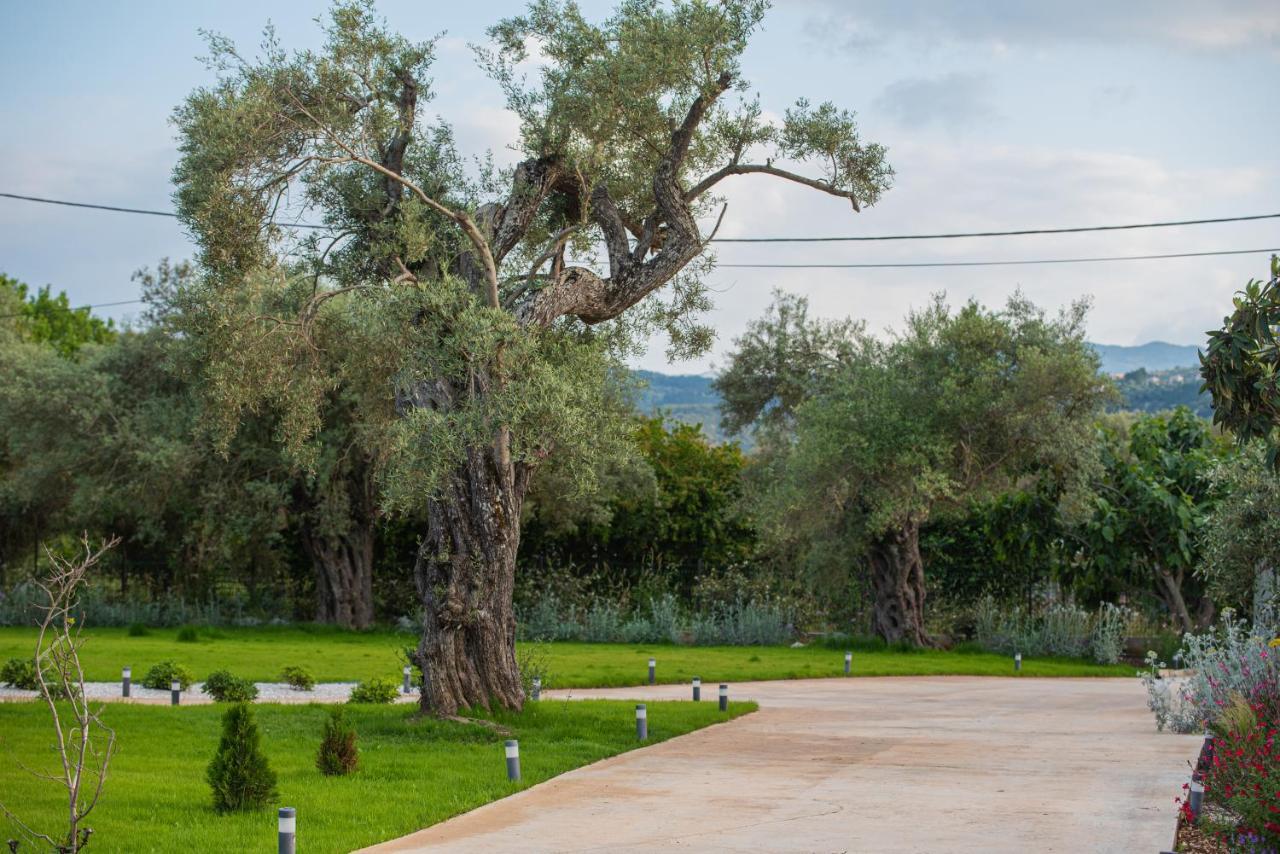 Aerinos private villa Lefkáda Exterior foto
