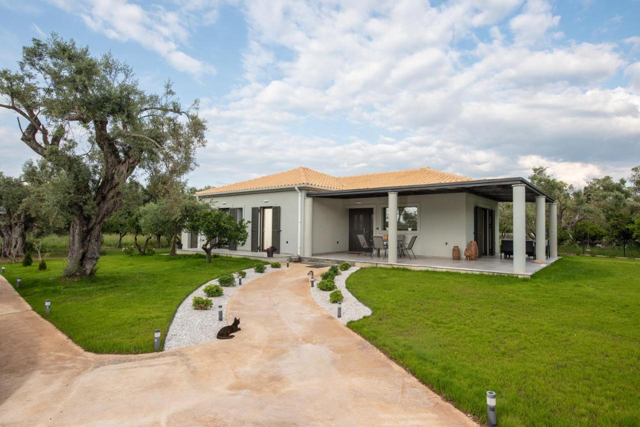 Aerinos private villa Lefkáda Exterior foto