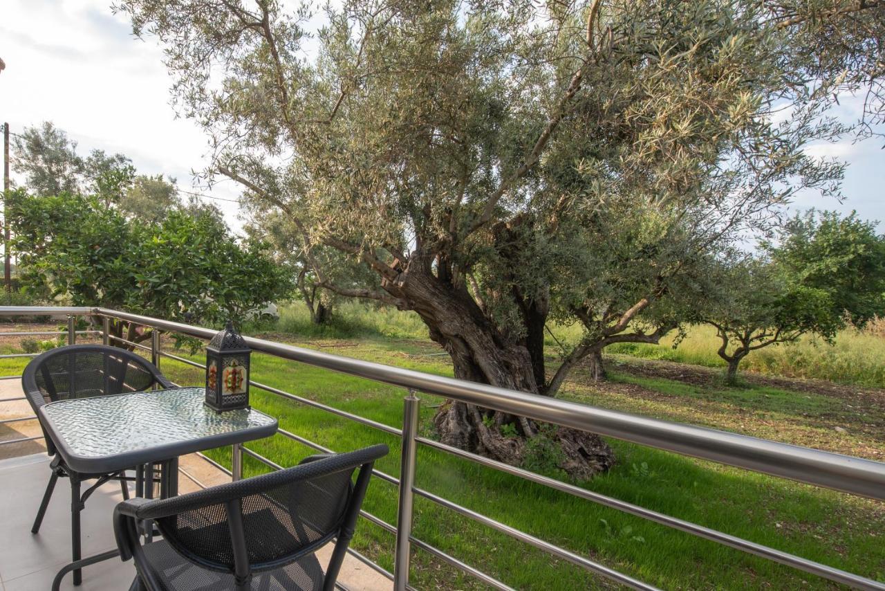 Aerinos private villa Lefkáda Exterior foto